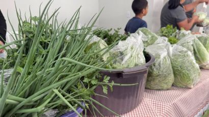 Feira de Ipuaçu celebra quatro anos com edição especial