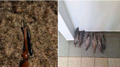 Idoso é preso por caça ilegal em Bom Jesus