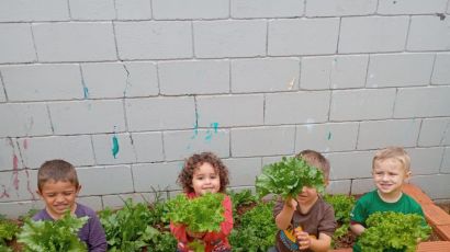 Crianças do Cemei Criança Feliz colhem alfaces cultivadas no projeto “Alimentação Saudável”