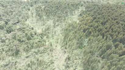 Três tornados são registrados no Oeste de Santa Catarina