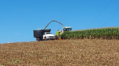 Aberto o edital para credenciamento de empresas prestadoras de serviços de colheita rural