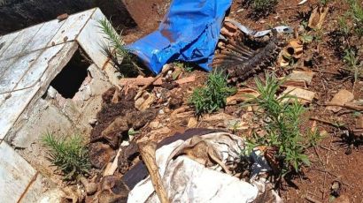 Túmulos são violados em cemitério de São Domingos