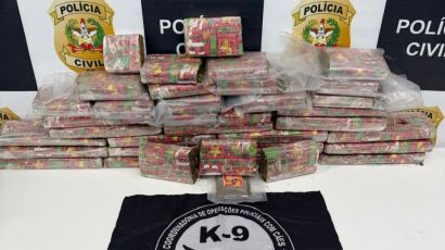 Mais de 22 kg de drogas são apreendidas em ônibus em Bom Jesus