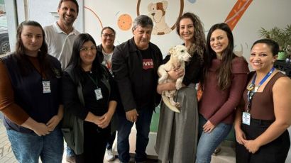 Castração atende 430 animais em Abelardo Luz em 2025