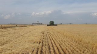 FAESC avalia 2025 e aponta perspectivas para o agro em 2026