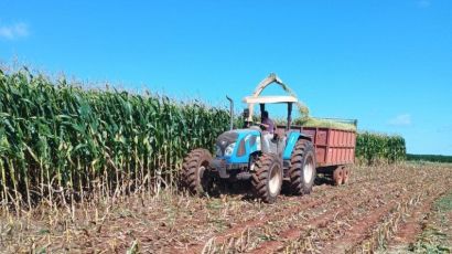 Secretaria de Agricultura de Bom Jesus realiza trabalho de silagem em propriedades rurais