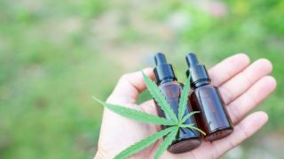 Anvisa muda regras e amplia acesso à cannabis medicinal