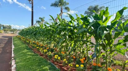 Paisagismo da ExpoFemi 2026 aposta em flores, milho e espaços temáticos