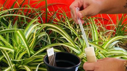 Saúde de Xanxerê implanta novo sistema para enfrentamento do mosquito Aedes Aegypti