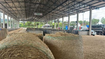 Novo espaço dos animais está em fase final e primeiros exemplares chegam nesta sexta na ExpoFemi