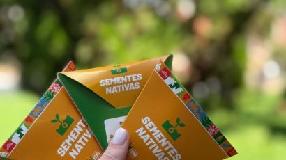 Sementes de árvores nativas serão doadas durante a ExpoFemi 2026