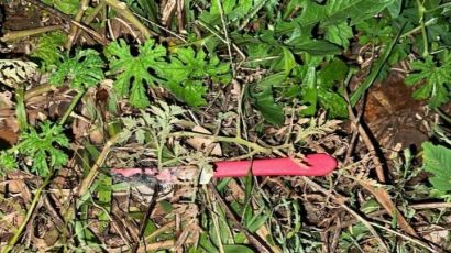 Tentativa de homicídio é registrada no Centro de Xanxerê