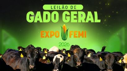Leilão de Gado Geral deve movimentar até R$ 1,6 milhão na ExpoFemi 2026 em Xanxerê
