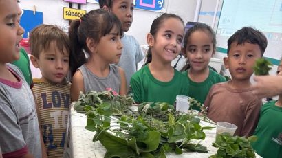Alunos do Cemei Carrossel participam de atividade educativa sobre chás