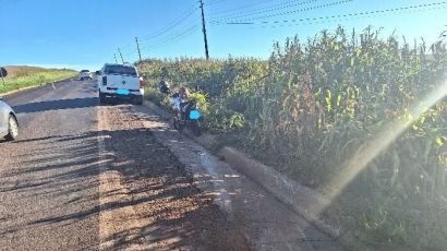 Motorista foge após provocar acidente na SC-155 em Abelardo Luz