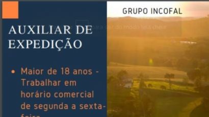 Auxiliar de expedição 