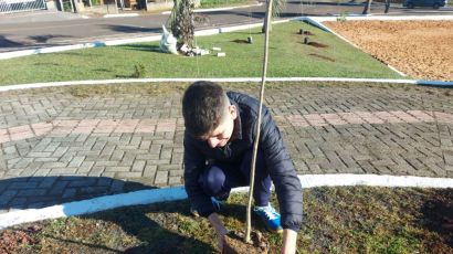 Plantio de árvores marca Dia Mundial do Meio Ambiente em Xanxerê