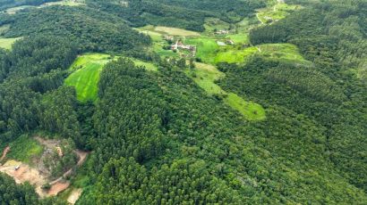 Governo de SC lança edital para seleção de propriedades rurais que preservam a vegetação nativa