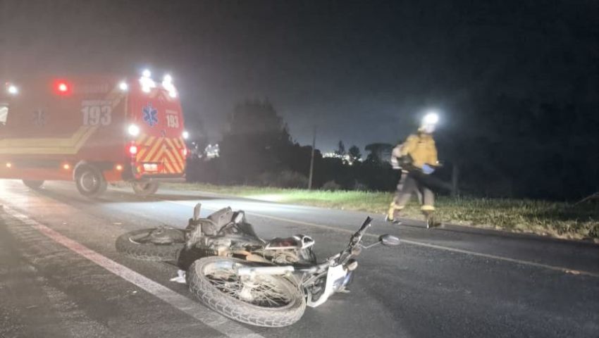 Motociclista fica ferido após colidir com cervo na BR-282 em Ponte Serrada
