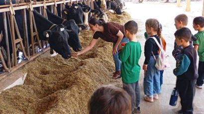 Aprendizado além da sala de aula: crianças conhecem o caminho do leite em fazenda de Xanxerê
