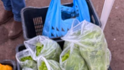 Ipuaçu compra 100% da merenda escolar de produtores locais