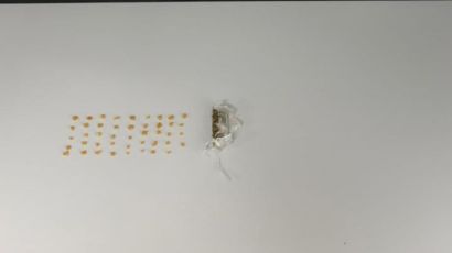 Suspeitos por tráfico de drogas são presos e drogas são apreendidas em Xanxerê