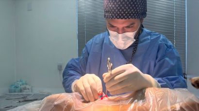 Campanha de castração de Xanxerê supera 500 procedimentos em quatro meses