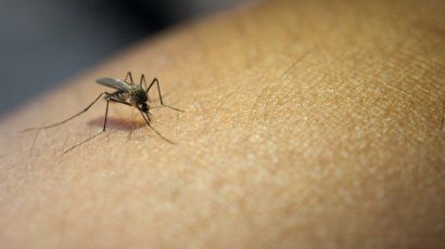 Confirmado primeiro caso de dengue autóctone no ano em Xanxerê