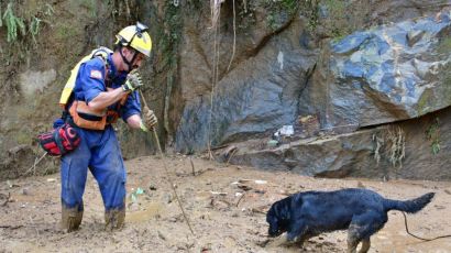 Trabalho de bombeiros catarinenses chega ao 3º dia em Petrópolis; binômios já localizaram corpos