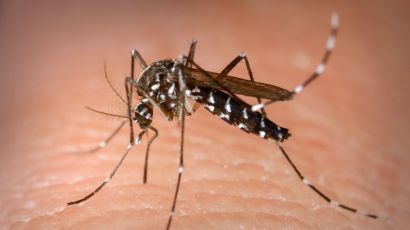 Equipes de fiscalização começam trabalho de combate a dengue nesta segunda (21) em Xanxerê