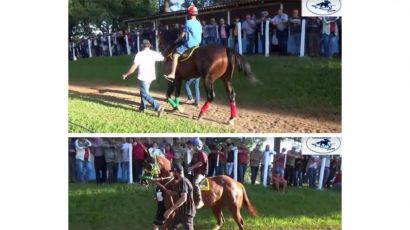 Dois cavalos de Xanxerê participam de competição no Paraná
