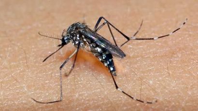 Xanxerê confirma o primeiro óbito por dengue em 2022