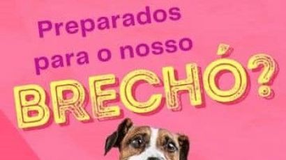 Brechó Animal acontece neste final de semana em Xanxerê