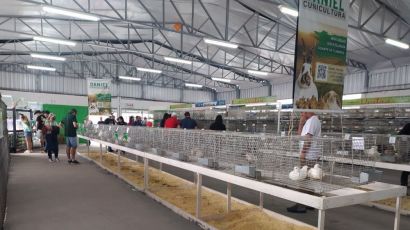 Pequenos animais são atrações na ExpoFemi