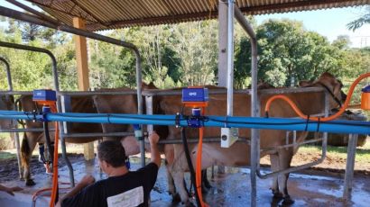 Conheça os criadores vencedores do torneio leiteiro que aconteceu na ExpoFemi