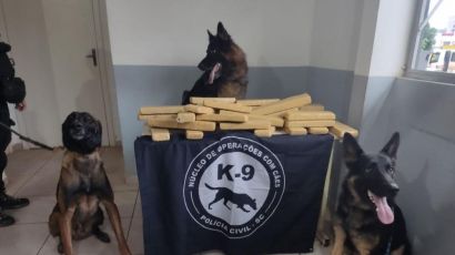 Polícia Civil apreende mais de 25 quilos de maconha em municípios do Oeste