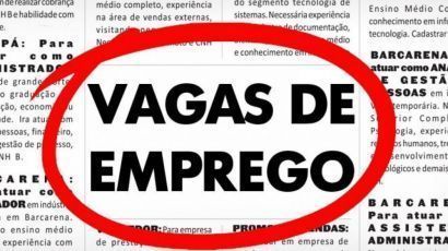 ORÇAMENTISTA
