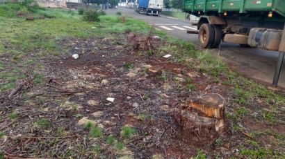 Indignação: Moradores denunciam descarte de lixo no bairro Castelo Branco em Xanxerê   