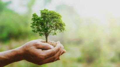 Dia Mundial do Meio ambiente reforça para o consumo consciente e descarte correto do lixo