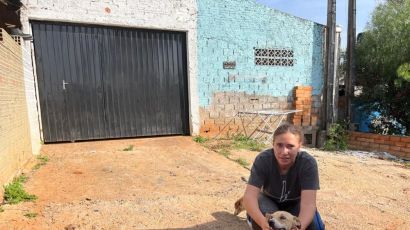 Animais castrados pela ação da Prefeitura de Xanxerê são devolvidos aos tutores