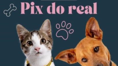 Bem-Estar Animal realiza mais uma edição do Pix do Real