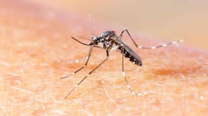 Secretaria de Saúde confirma 1º caso positivo de Chikungunya em Xanxerê