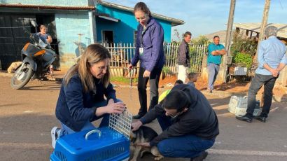 Prefeitura de Xanxerê fará mais uma ação castração de animais