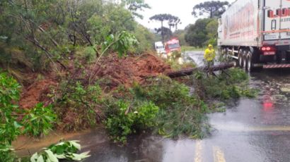 Queda de árvore causa lentidão na BR-282 em Ponte Serrada