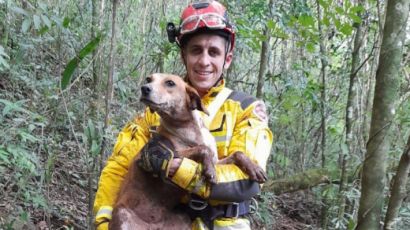 Bombeiros resgatam cão que caiu em fosso de sete metros