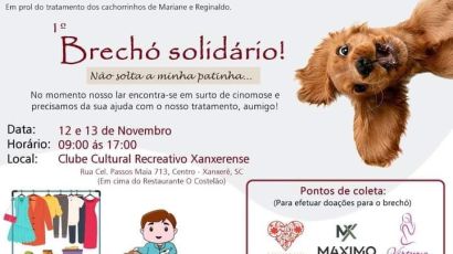 1° Brechó Solidário “Não solta a minha patinha” acontece em novembro