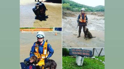 Corpo de Bombeiros de Xanxerê lamenta morte do cão Tchak