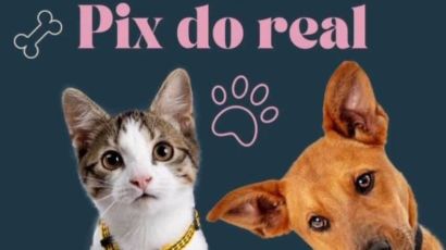 Grupo Bem-Estar Animal estende campanha do Pix do Real