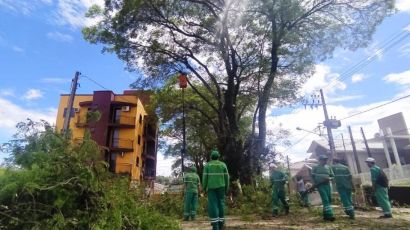 Prefeitura de Xanxerê realiza poda de árvores na Marechal Deodoro