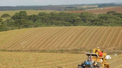 Boletim Agropecuário de dezembro indica crescimento nas safras catarinenses